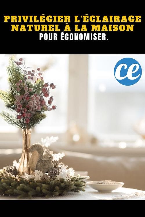 Fleurs rose éclairée avec de la lumière d'extérieur naturelle