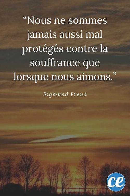 Citation : Nous ne sommes jamais aussi mal protégés contre la souffrance que lorsque nous aimons.