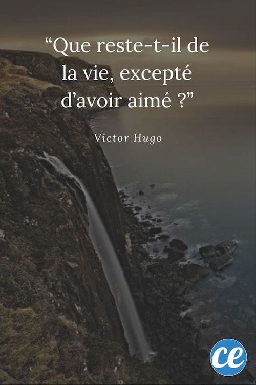 Citation : Que reste-t-il de la vie, excepté d'avoir aimé ?