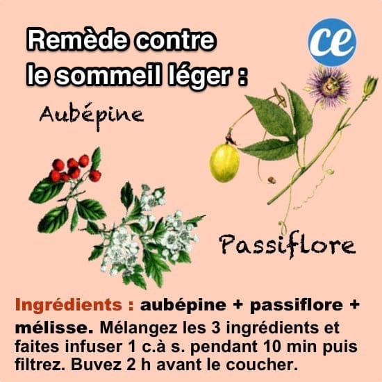 Infusion de mélisse, d'aubépine et de passiflore pour retrouver un sommeil réparateur