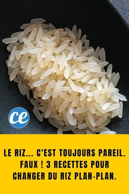 Riz dans une assiette noir : Le Riz... C'est Toujours Pareil. Faux ! 3 Recettes pour Changer du Riz Plan-Plan.