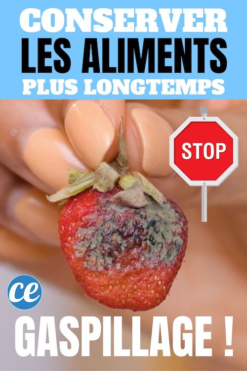 7 Astuces Faciles Pour Conserver Vos Aliments Plus Longtemps 8547