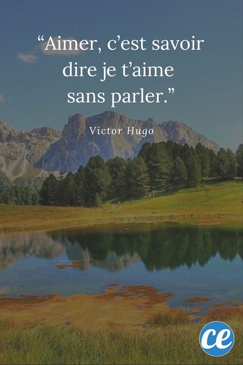 les-82-plus-belles-citations-sur-l-amour