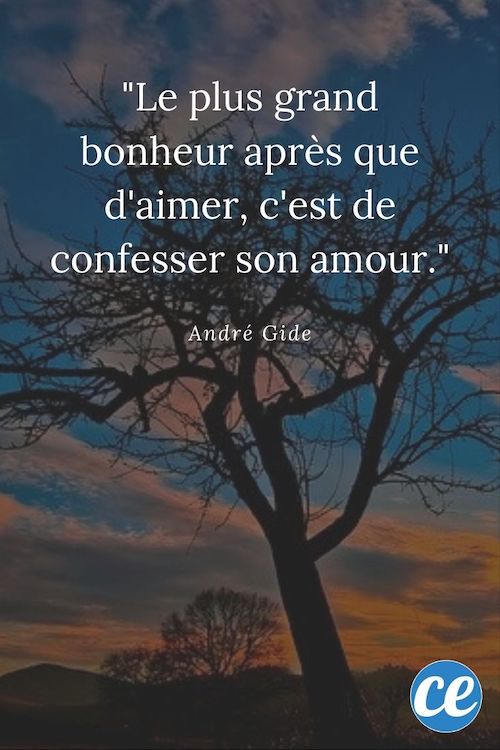 Les 82 Plus Belles Citations Sur l'Amour.
