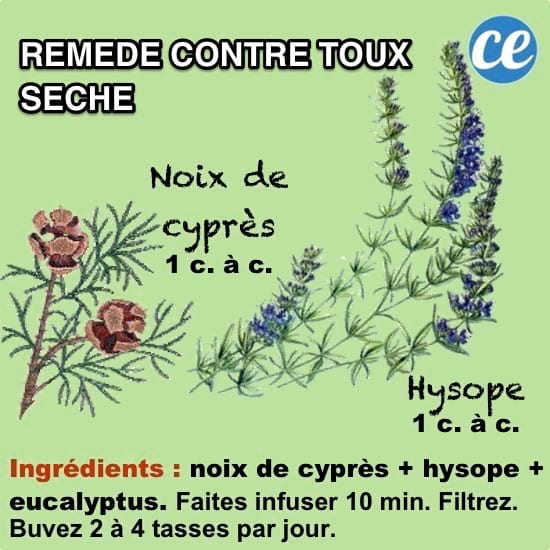 Remède naturel aux plantes contre la toux sèche