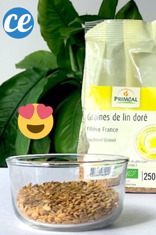 Un paquet et un bol de graines et de lin posé sur une table blanche