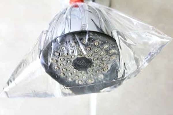 Un pommeau de douche dans un sac de congélation remplie de vinaigre blanc pour le détartrer