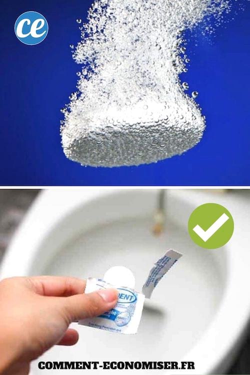 Une main qui utilise une pastille effervescente pour dentier pour nettoyer les toilettes.