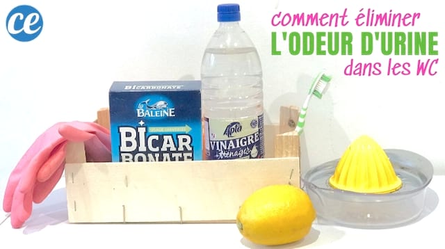 Un paquet de bicarbonate, une bouteille de vinaigre blanc, une citron et une brosse à dent pour nettoyer l'odeur de pipi dans les WC