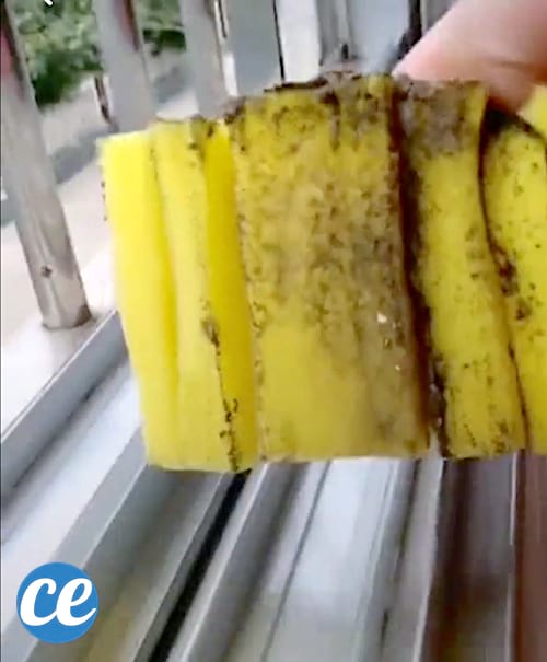 Éponge toute sale après avoir nettoyé le rail de fenêtre