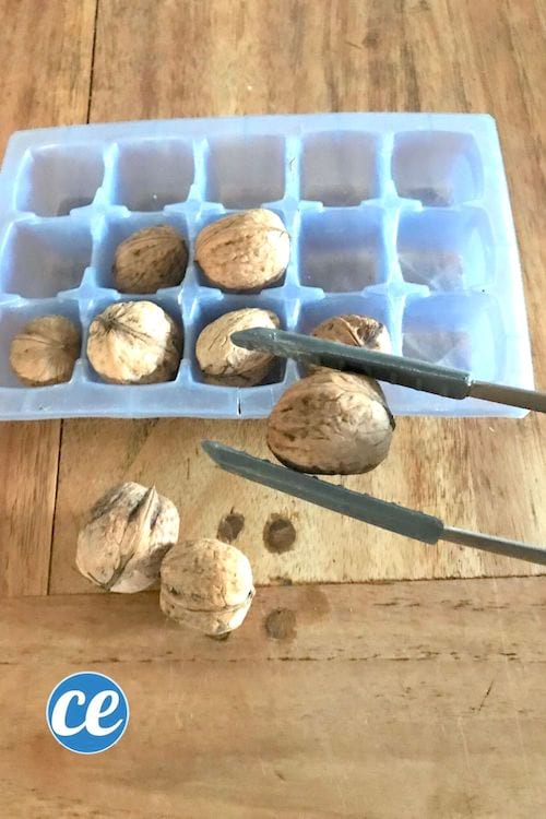 Un jeu d'habilité fait avec une pince et des noix pour occuper les enfants