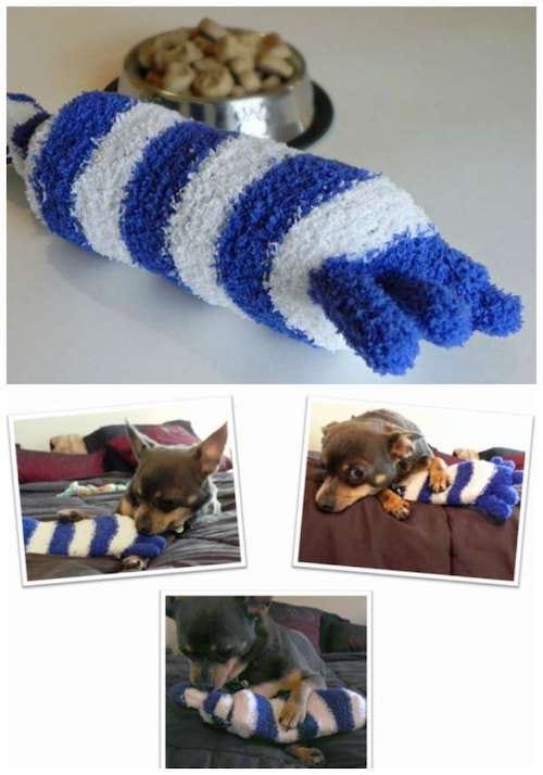 Chaussette bleue et blanche qui sert de jouet pour chien