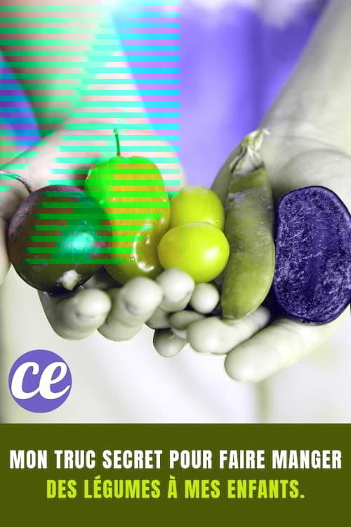 Légumes pour enfants : Mon Truc Secret Pour Faire Manger des Légumes à Mes Enfants.