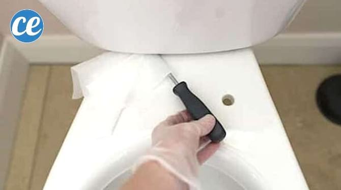 Une main qui nettoie la cuvette des WC avec un tournevis plat et une lingette nettoyante.