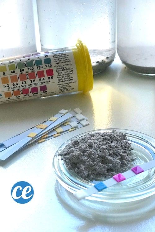 des bandelettes de pH pour tester le pH de la cendre pour nettoyer le sol et le linge