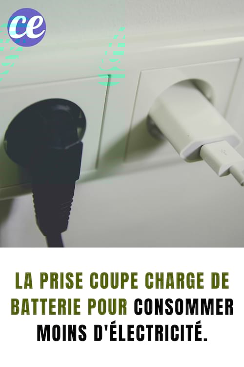 Deux fils branchés aux prises : La prise coupe charge de batterie pour consommer moins d'électricité.