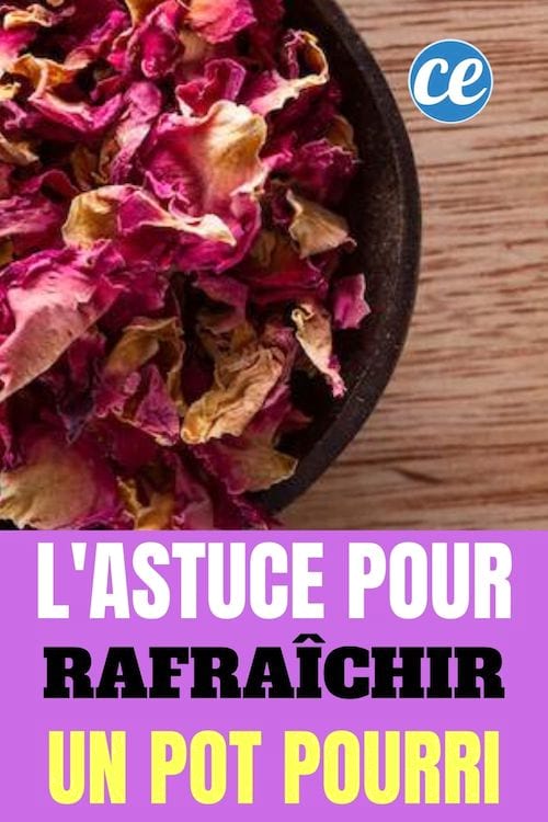 Pot de fleurs pourri : Comment Rafraîchir un Pot-Pourri Pour Qu'il ne Soit Plus Pourri ?