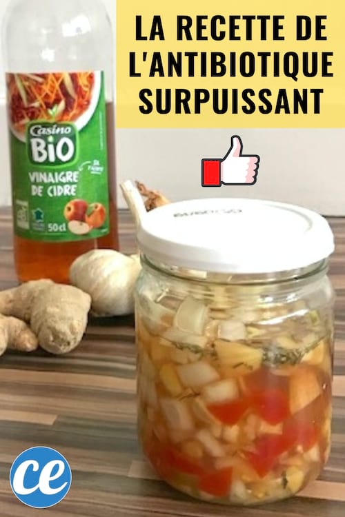 Un bocal avec de l'ail, oignons, gingembre dans du vinaigre de cidre pour faire un antibio efficace et naturel