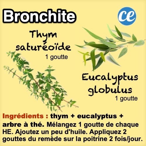 Pour la bronchite, utilisez un remède à base d'huile essentielle de thym, d'eucalyptus et d'arbre à thé