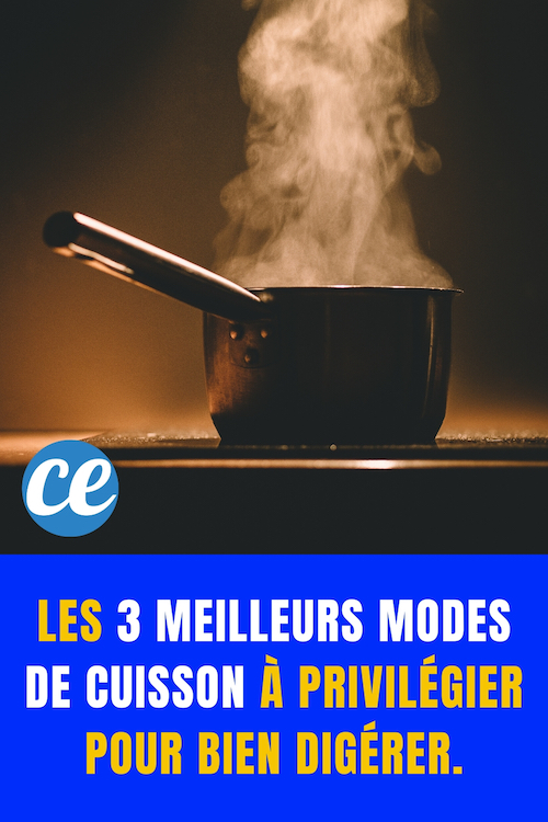 Les 3 Meilleurs Modes De Cuisson à Privilégier Pour Bien Digérer.