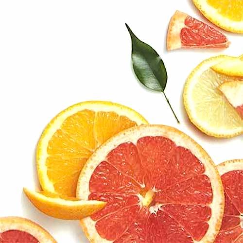 Divers agrumes coupés en tranches sur fond blanc.