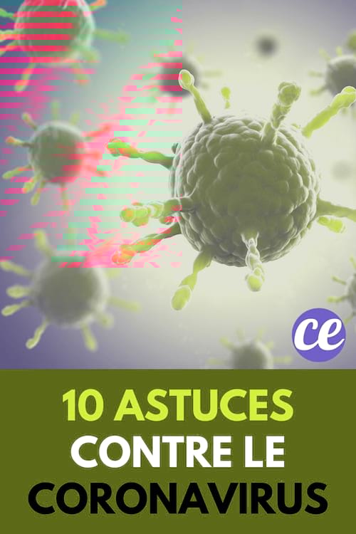 10 Astuces Contre le Coronavirus Que Tout Le Monde Devrait Connaître !