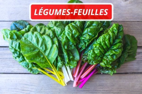 Différentes variétés de légumes-feuilles sur des planche de bois vieilli.