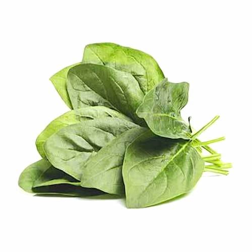 Des épinards en branche sur fond blanc.