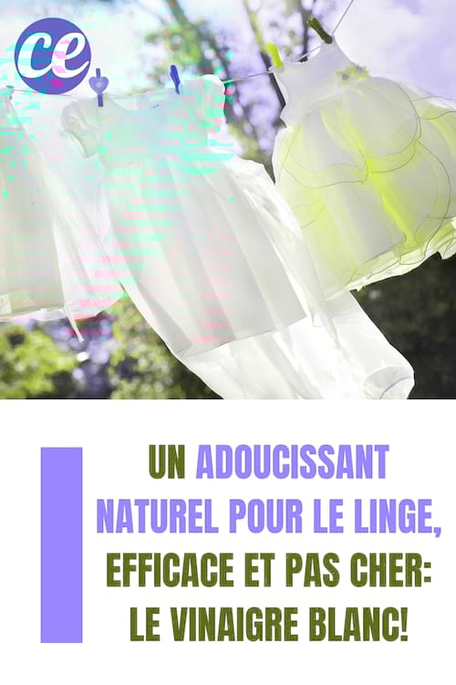 Linge étendue en extérieur : Un adoucissant naturel pour le linge, efficace et pas cher: le vinaigre blanc!