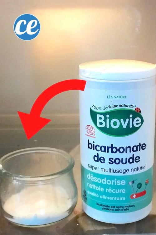 Une coupelle de bicarbonate dans un frigo pour éliminer les mauvaises odeurs