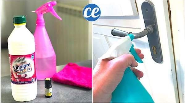 Comment Désinfecter les Poignées de Porte