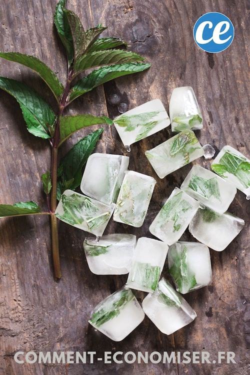 Des glaçons d'herbes aromatiques sur une planche en bois.