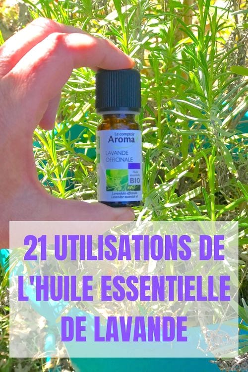 Un flacon d'huile essentielle de lavande devant un pot de lavande