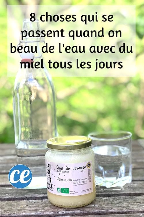 8 Choses Incroyables Qui Se Passent Quand Vous Buvez De L Eau Avec Du Miel Tous Les Jours