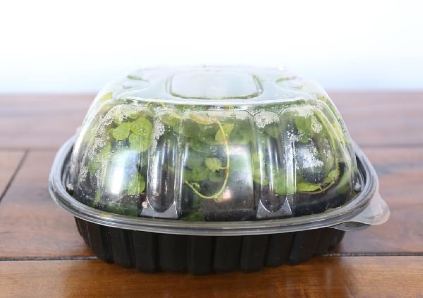 boite rotisserie pour faire pousser plantes