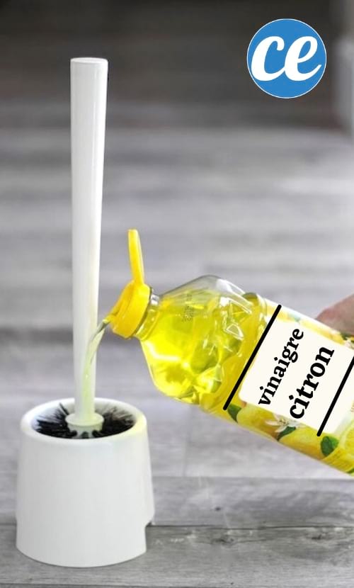 comment désinfecter la brosse des toilettes facilement