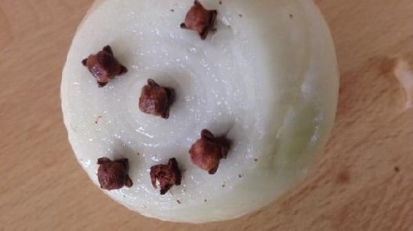 chasser mouches avec oignons naturellement