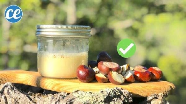 Comment Faire De La Lessive Avec Des Marrons