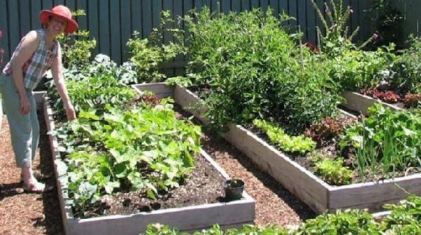 Jardinage : 10 Astuces Que Tous les Débutants Devraient Connaître.