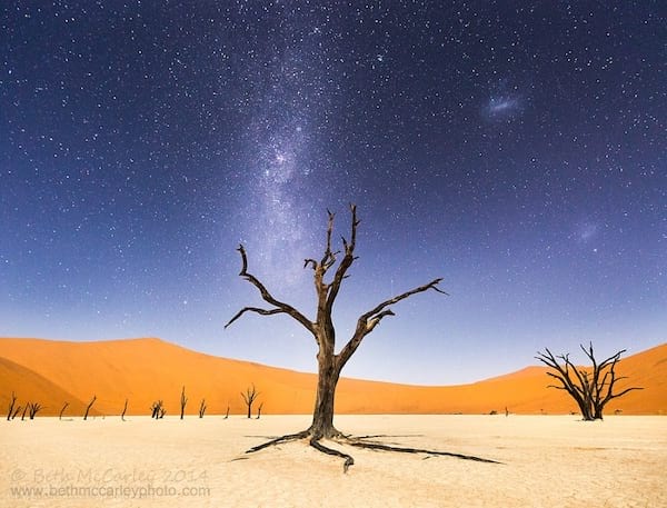 Arbre desséchée au milieu du désert de Namib 
