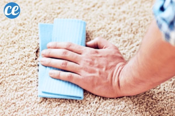 comment nettoyer un tapis avec une tache de gras