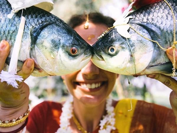 Deux poissons qui s'embrassent en Inde