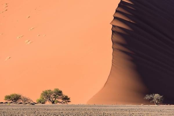 Dunes du désert de Namib
