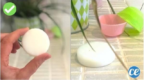 Enfin Une Recette de SHAMPOING SOLIDE Facile & Rapide à Faire