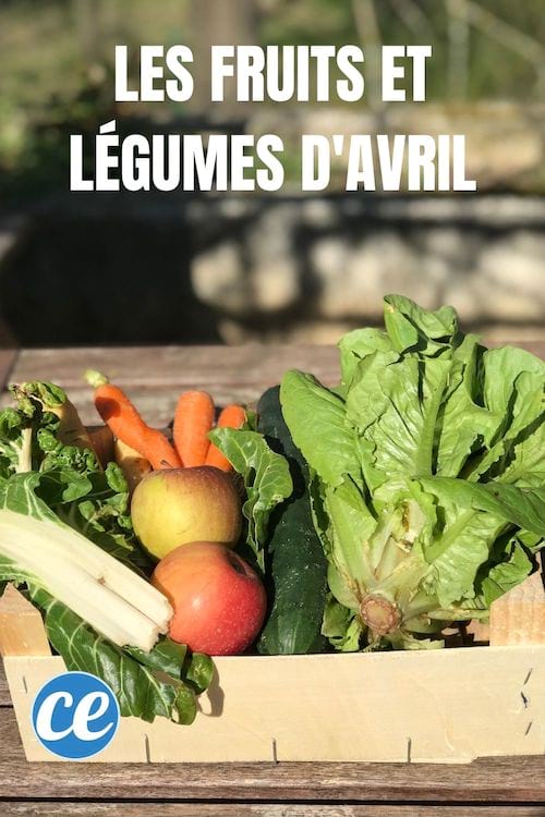 Fruits et légumes du mois d'avril