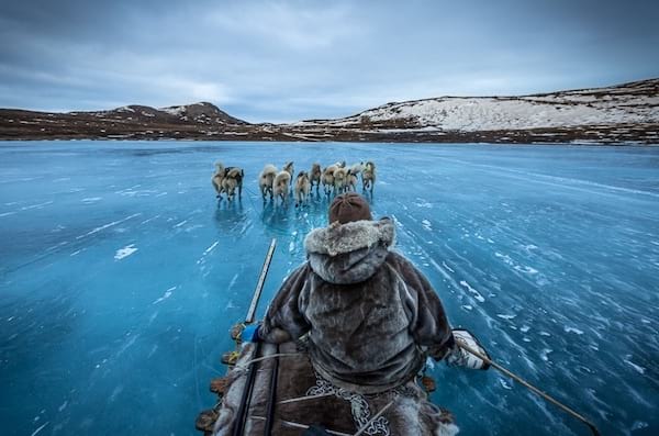 Homme sur la glace avec son traîneaux et ses chiens  