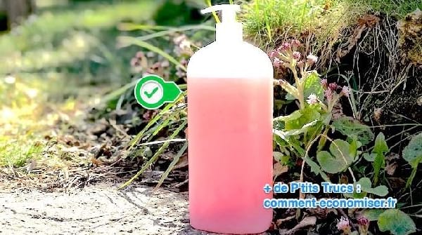 la recette facile du gel douce fait maison