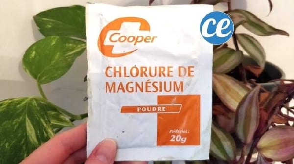 le traitement naturel et rapide contre les verrues chlorure de magnésium