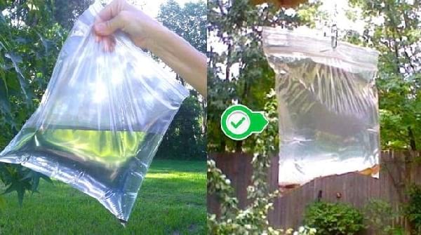 Répulsif Ultra Efficace contre mouche