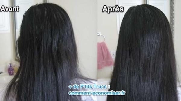 shampoing nourrissant cheveux ternes secs